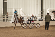 ete's Photography - Equine photography of various equine events at the Ancaster Fair including riding, driving, single carts and six draft horse hitches.