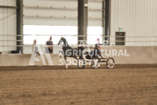 ete's Photography - Equine photography of various equine events at the Ancaster Fair including riding, driving, single carts and six draft horse hitches.