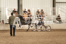 ete's Photography - Equine photography of various equine events at the Ancaster Fair including riding, driving, single carts and six draft horse hitches.