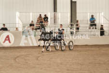 ete's Photography - Equine photography of various equine events at the Ancaster Fair including riding, driving, single carts and six draft horse hitches.