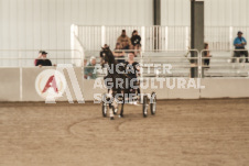 ete's Photography - Equine photography of various equine events at the Ancaster Fair including riding, driving, single carts and six draft horse hitches.