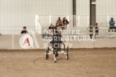 ete's Photography - Equine photography of various equine events at the Ancaster Fair including riding, driving, single carts and six draft horse hitches.