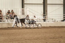 ete's Photography - Equine photography of various equine events at the Ancaster Fair including riding, driving, single carts and six draft horse hitches.