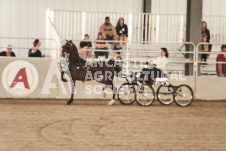 ete's Photography - Equine photography of various equine events at the Ancaster Fair including riding, driving, single carts and six draft horse hitches.