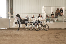 ete's Photography - Equine photography of various equine events at the Ancaster Fair including riding, driving, single carts and six draft horse hitches.