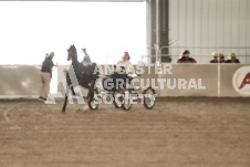 ete's Photography - Equine photography of various equine events at the Ancaster Fair including riding, driving, single carts and six draft horse hitches.