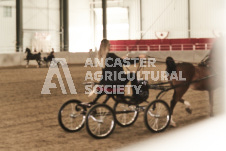 ete's Photography - Equine photography of various equine events at the Ancaster Fair including riding, driving, single carts and six draft horse hitches.