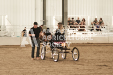 ete's Photography - Equine photography of various equine events at the Ancaster Fair including riding, driving, single carts and six draft horse hitches.