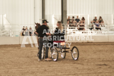 ete's Photography - Equine photography of various equine events at the Ancaster Fair including riding, driving, single carts and six draft horse hitches.