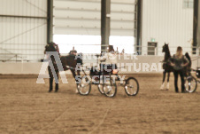 ete's Photography - Equine photography of various equine events at the Ancaster Fair including riding, driving, single carts and six draft horse hitches.