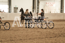 ete's Photography - Equine photography of various equine events at the Ancaster Fair including riding, driving, single carts and six draft horse hitches.