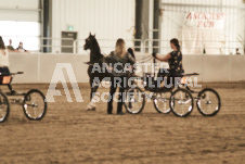 ete's Photography - Equine photography of various equine events at the Ancaster Fair including riding, driving, single carts and six draft horse hitches.