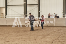 ete's Photography - Equine photography of various equine events at the Ancaster Fair including riding, driving, single carts and six draft horse hitches.