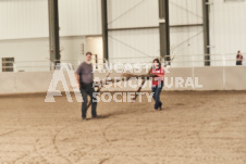 ete's Photography - Equine photography of various equine events at the Ancaster Fair including riding, driving, single carts and six draft horse hitches.