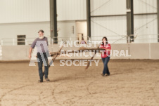 ete's Photography - Equine photography of various equine events at the Ancaster Fair including riding, driving, single carts and six draft horse hitches.