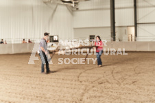 ete's Photography - Equine photography of various equine events at the Ancaster Fair including riding, driving, single carts and six draft horse hitches.