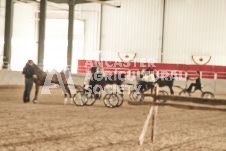 ete's Photography - Equine photography of various equine events at the Ancaster Fair including riding, driving, single carts and six draft horse hitches.