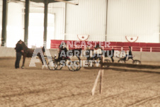 ete's Photography - Equine photography of various equine events at the Ancaster Fair including riding, driving, single carts and six draft horse hitches.