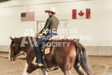 ete's Photography - Equine photography of various equine events at the Ancaster Fair including riding, driving, single carts and six draft horse hitches.