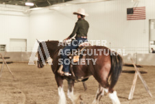 ete's Photography - Equine photography of various equine events at the Ancaster Fair including riding, driving, single carts and six draft horse hitches.