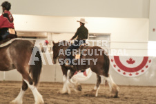 ete's Photography - Equine photography of various equine events at the Ancaster Fair including riding, driving, single carts and six draft horse hitches.