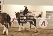 ete's Photography - Equine photography of various equine events at the Ancaster Fair including riding, driving, single carts and six draft horse hitches.