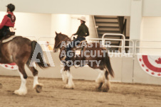 ete's Photography - Equine photography of various equine events at the Ancaster Fair including riding, driving, single carts and six draft horse hitches.