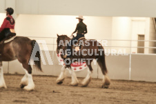 ete's Photography - Equine photography of various equine events at the Ancaster Fair including riding, driving, single carts and six draft horse hitches.