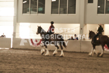 ete's Photography - Equine photography of various equine events at the Ancaster Fair including riding, driving, single carts and six draft horse hitches.