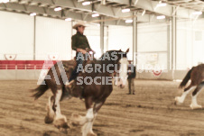 ete's Photography - Equine photography of various equine events at the Ancaster Fair including riding, driving, single carts and six draft horse hitches.