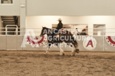 ete's Photography - Equine photography of various equine events at the Ancaster Fair including riding, driving, single carts and six draft horse hitches.