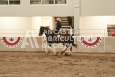 ete's Photography - Equine photography of various equine events at the Ancaster Fair including riding, driving, single carts and six draft horse hitches.