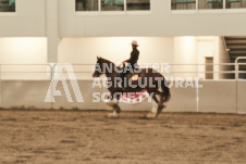 ete's Photography - Equine photography of various equine events at the Ancaster Fair including riding, driving, single carts and six draft horse hitches.