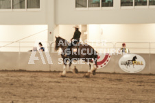 ete's Photography - Equine photography of various equine events at the Ancaster Fair including riding, driving, single carts and six draft horse hitches.