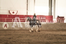 ete's Photography - Equine photography of various equine events at the Ancaster Fair including riding, driving, single carts and six draft horse hitches.