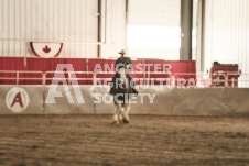 ete's Photography - Equine photography of various equine events at the Ancaster Fair including riding, driving, single carts and six draft horse hitches.