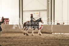 ete's Photography - Equine photography of various equine events at the Ancaster Fair including riding, driving, single carts and six draft horse hitches.