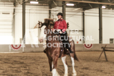 ete's Photography - Equine photography of various equine events at the Ancaster Fair including riding, driving, single carts and six draft horse hitches.