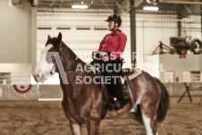 ete's Photography - Equine photography of various equine events at the Ancaster Fair including riding, driving, single carts and six draft horse hitches.