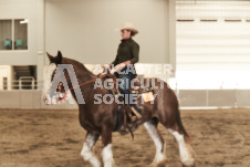 ete's Photography - Equine photography of various equine events at the Ancaster Fair including riding, driving, single carts and six draft horse hitches.