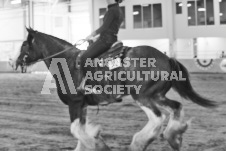 ete's Photography - Equine photography of various equine events at the Ancaster Fair including riding, driving, single carts and six draft horse hitches.