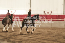 ete's Photography - Equine photography of various equine events at the Ancaster Fair including riding, driving, single carts and six draft horse hitches.