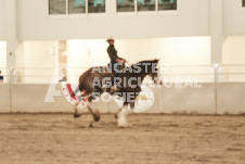 ete's Photography - Equine photography of various equine events at the Ancaster Fair including riding, driving, single carts and six draft horse hitches.