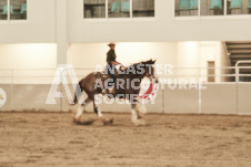 ete's Photography - Equine photography of various equine events at the Ancaster Fair including riding, driving, single carts and six draft horse hitches.