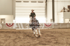 ete's Photography - Equine photography of various equine events at the Ancaster Fair including riding, driving, single carts and six draft horse hitches.