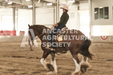 ete's Photography - Equine photography of various equine events at the Ancaster Fair including riding, driving, single carts and six draft horse hitches.