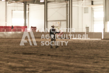 ete's Photography - Equine photography of various equine events at the Ancaster Fair including riding, driving, single carts and six draft horse hitches.