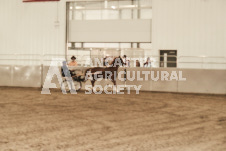 ete's Photography - Equine photography of various equine events at the Ancaster Fair including riding, driving, single carts and six draft horse hitches.