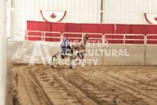 ete's Photography - Equine photography of various equine events at the Ancaster Fair including riding, driving, single carts and six draft horse hitches.