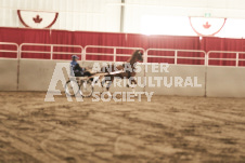 ete's Photography - Equine photography of various equine events at the Ancaster Fair including riding, driving, single carts and six draft horse hitches.